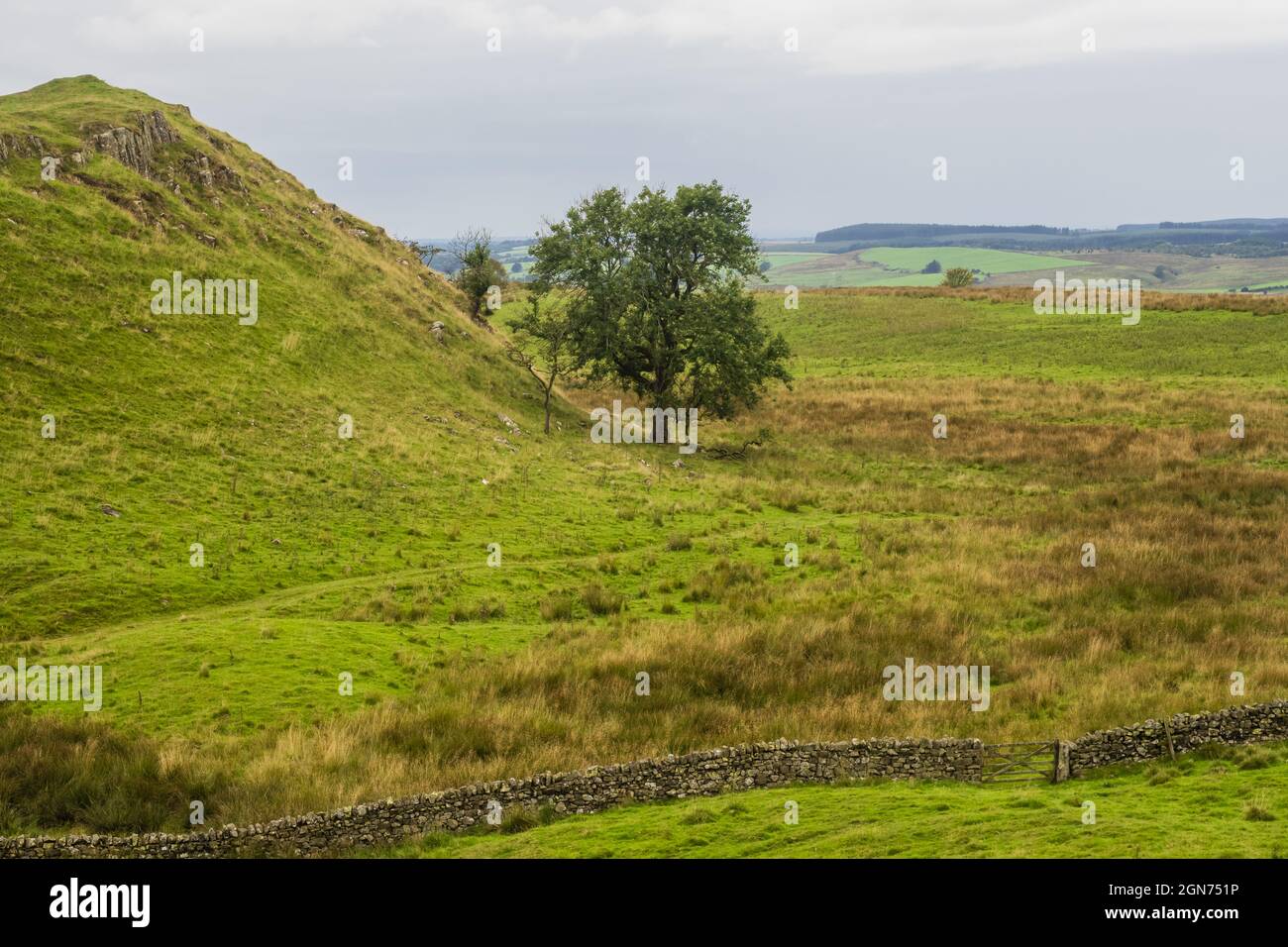 The Hadrian’s Wall Path is an 84 mile (135 km) long National Trail stretching coast to coast across northern England, from Wallsend, Newcastle upon Ty Stock Photo