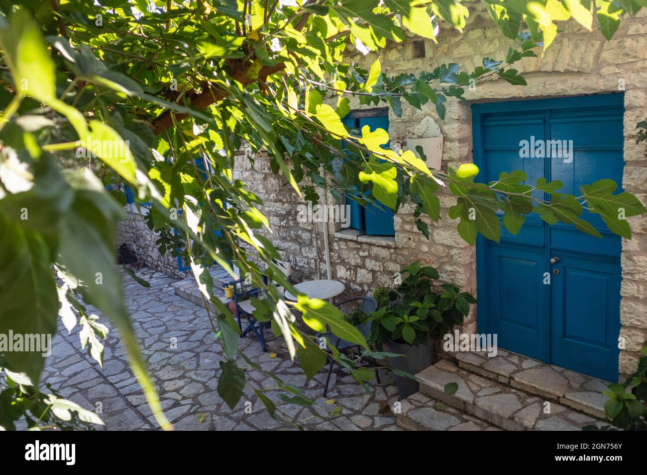 Sun shining through big green tree branches in summer in Greek