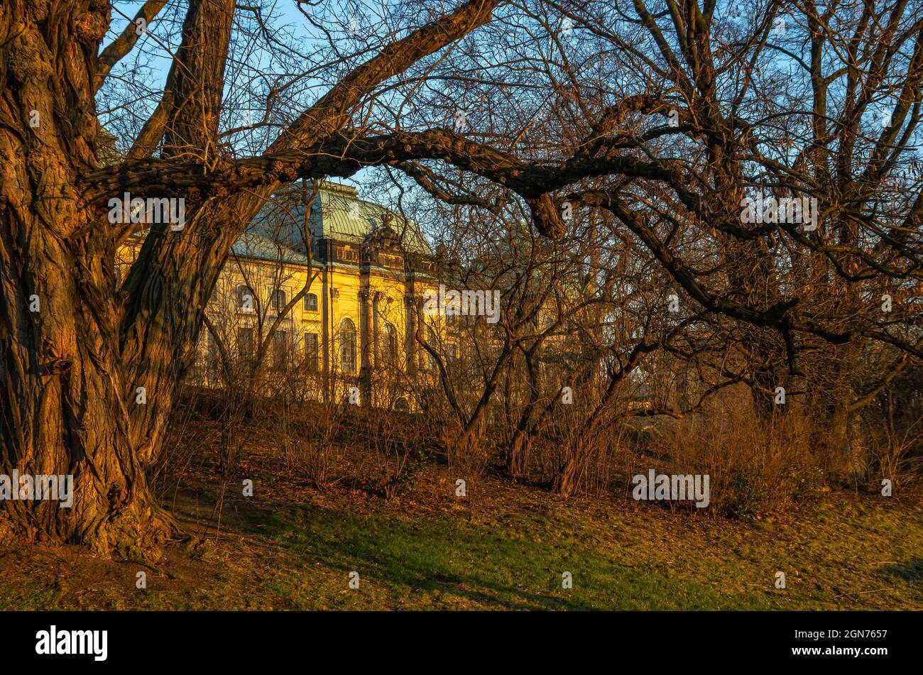 Dresden, Saxony, Germany: The Japanese Palace on Königsufer, home of the Museum of Ethnology, seen from the back and in the evening light. Stock Photo