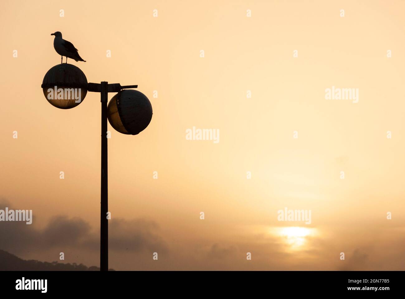 Broken lamp post night hires stock photography and images Alamy