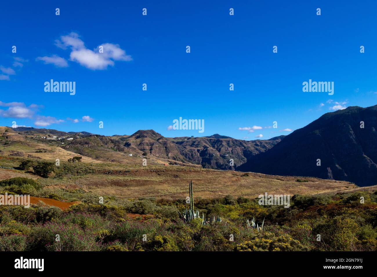 Paisaje de los Llanos de Samarrita en la isla de Gran Canaria Stock Photo