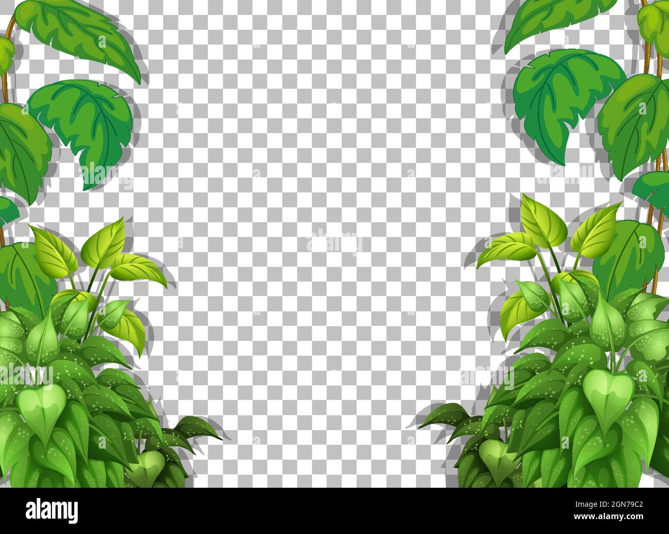 Various tropical leaves on transparent background illustration Stock ...