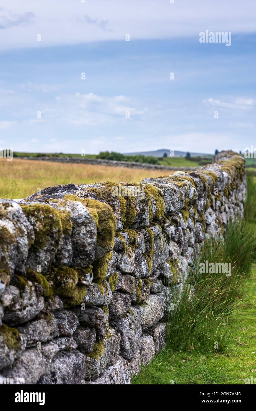 Traditional Dry Stone Wall Dartmoor Devon England Stock Photo
