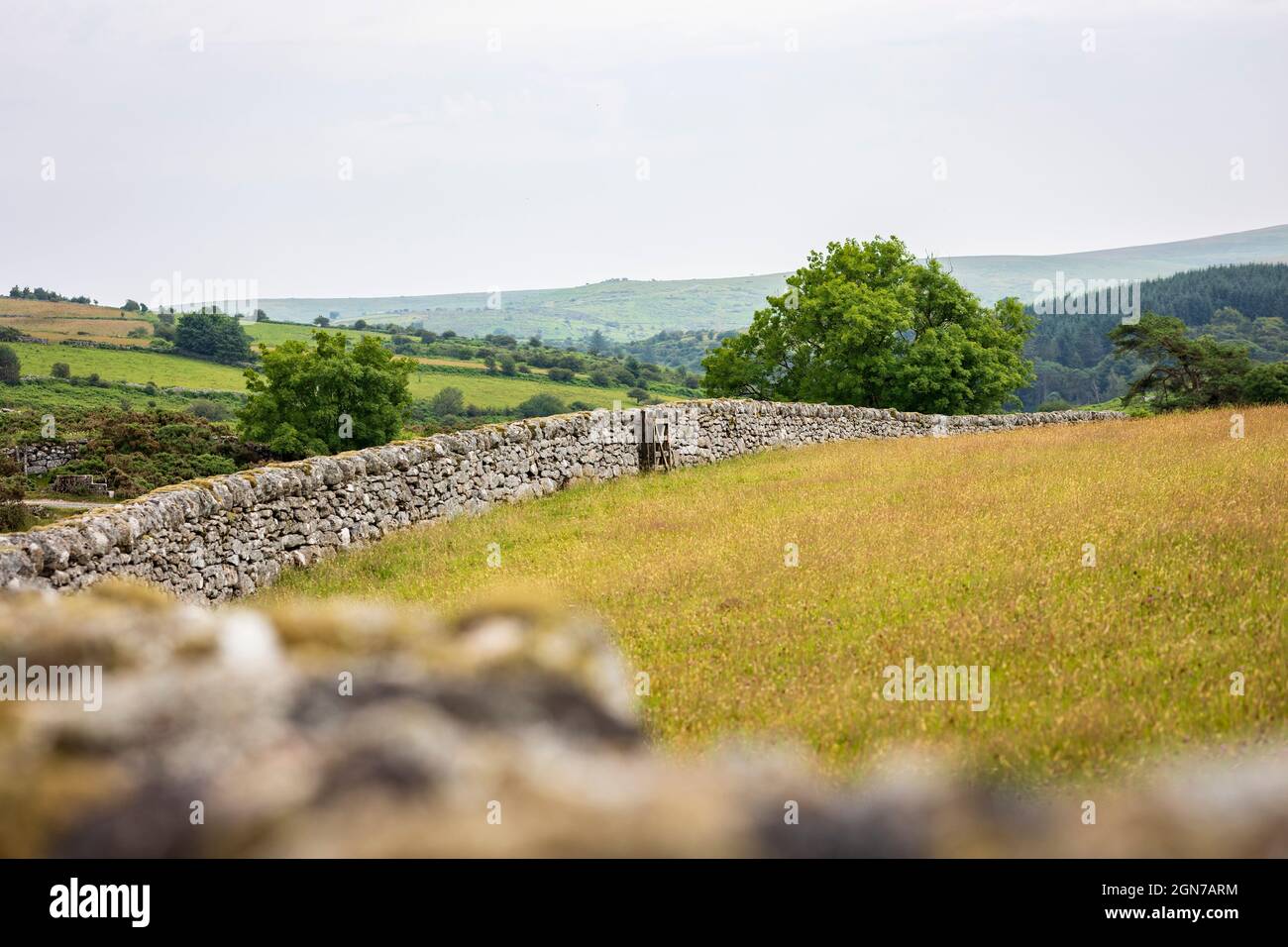 Traditional Dry Stone Wall Dartmoor Devon England Stock Photo