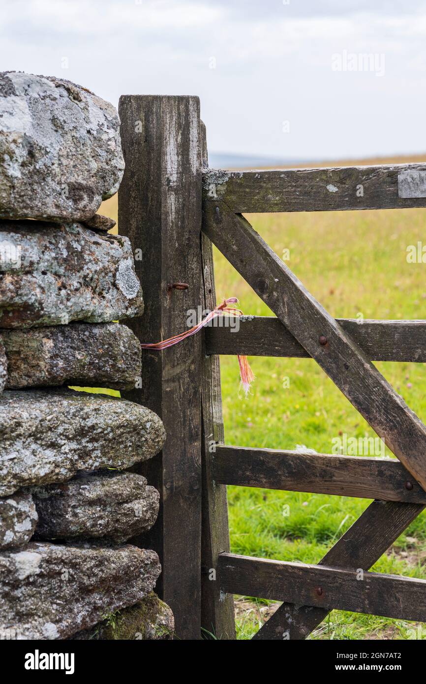 Footpath gate in a Traditional Dry Stone Wall Dartmoor Devon England Stock Photo