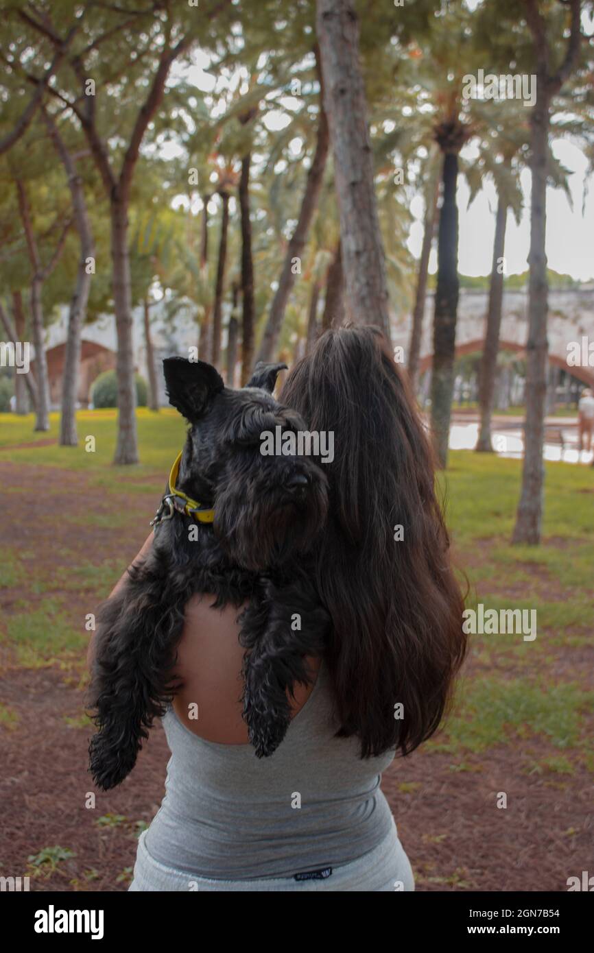 Horizontal photograph of a woman holding her black dog in her arms while walking outdoors in the park. Stock Photo