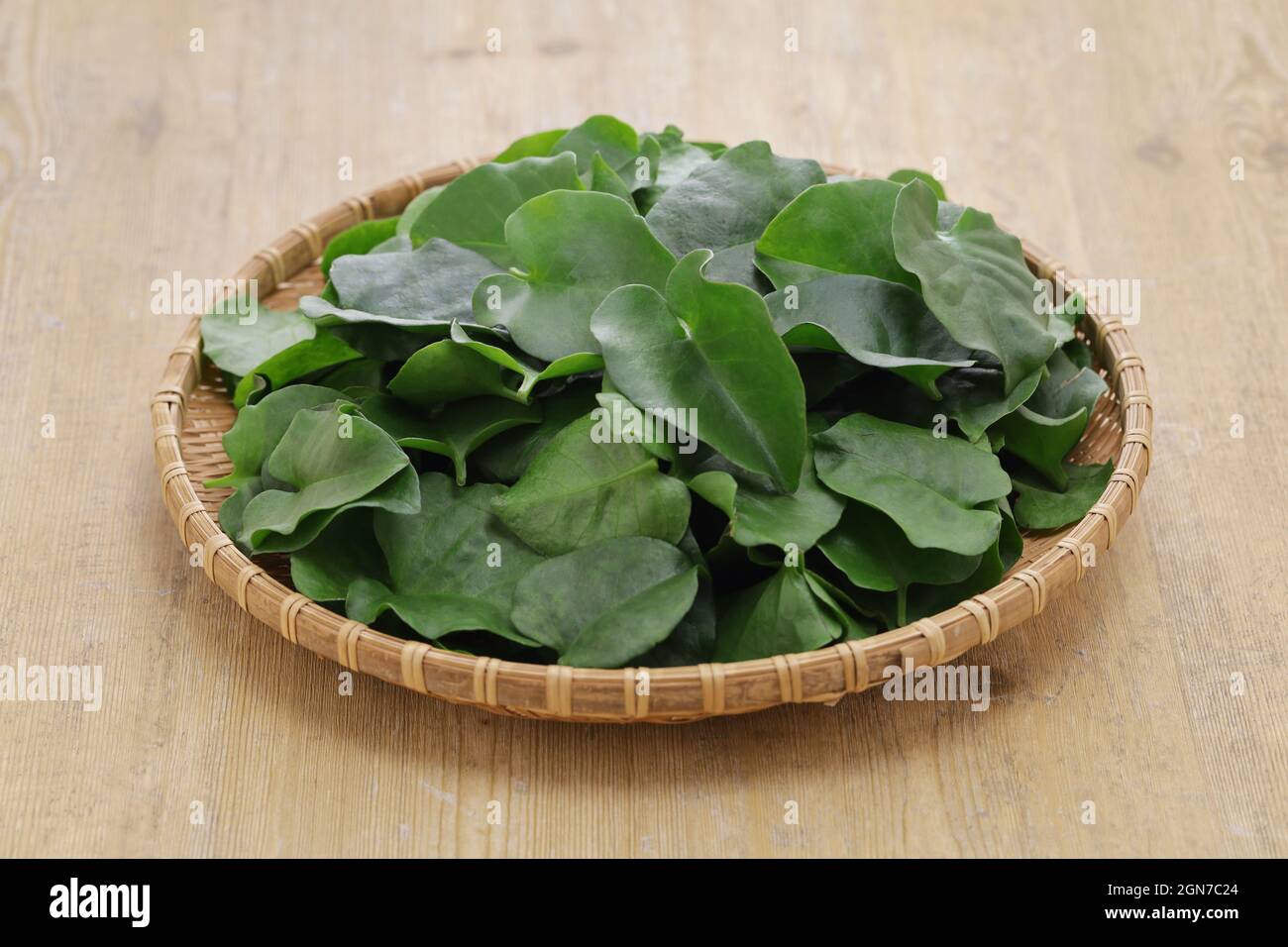 madeira vine, taiwanese leaf vegetable Stock Photo