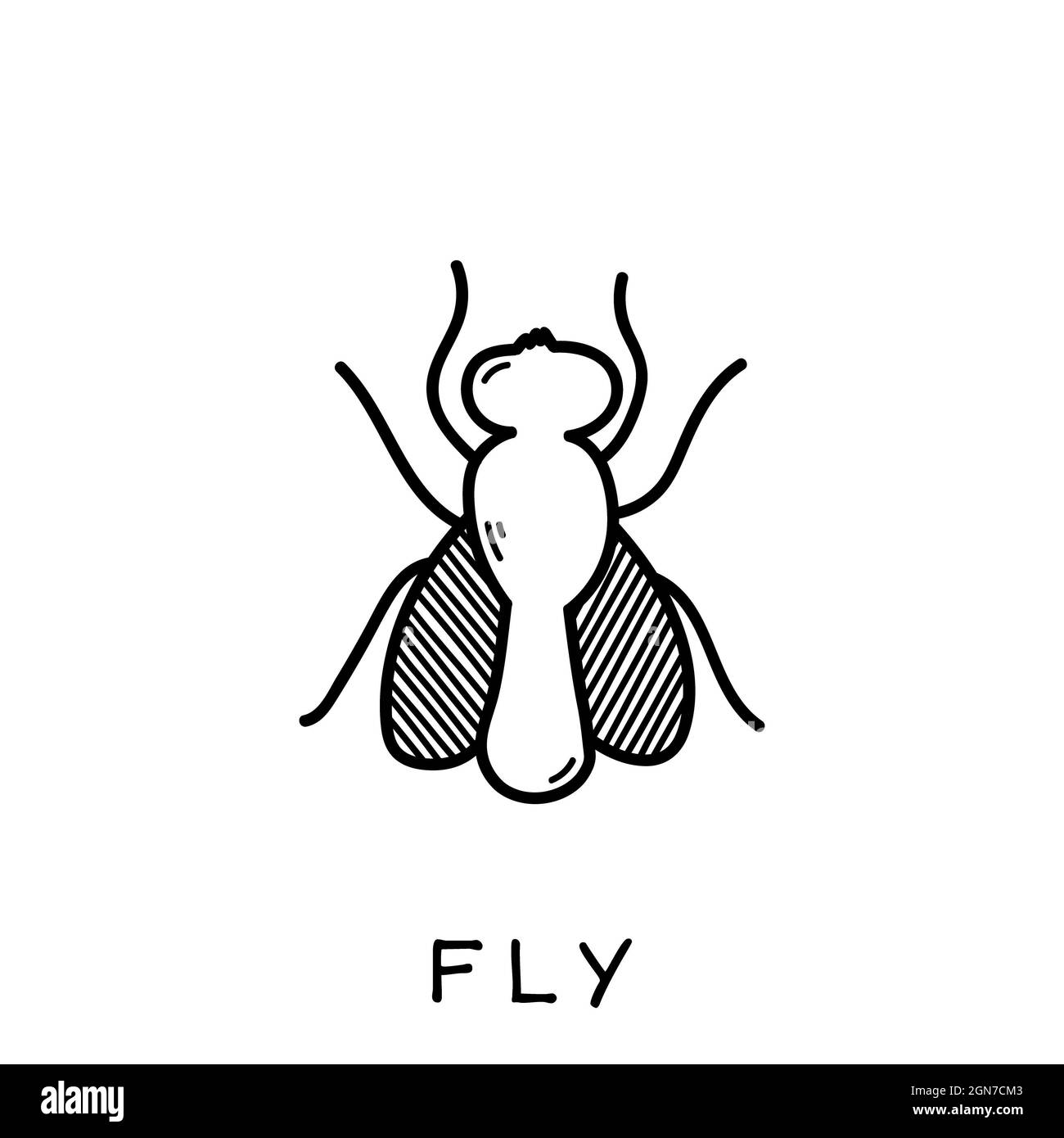 Fly hand drawn vector doodle Stock Photo