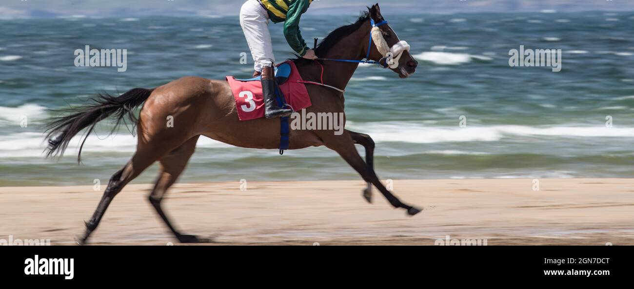 Close up on race horse and jockey running on the beach Stock Photo