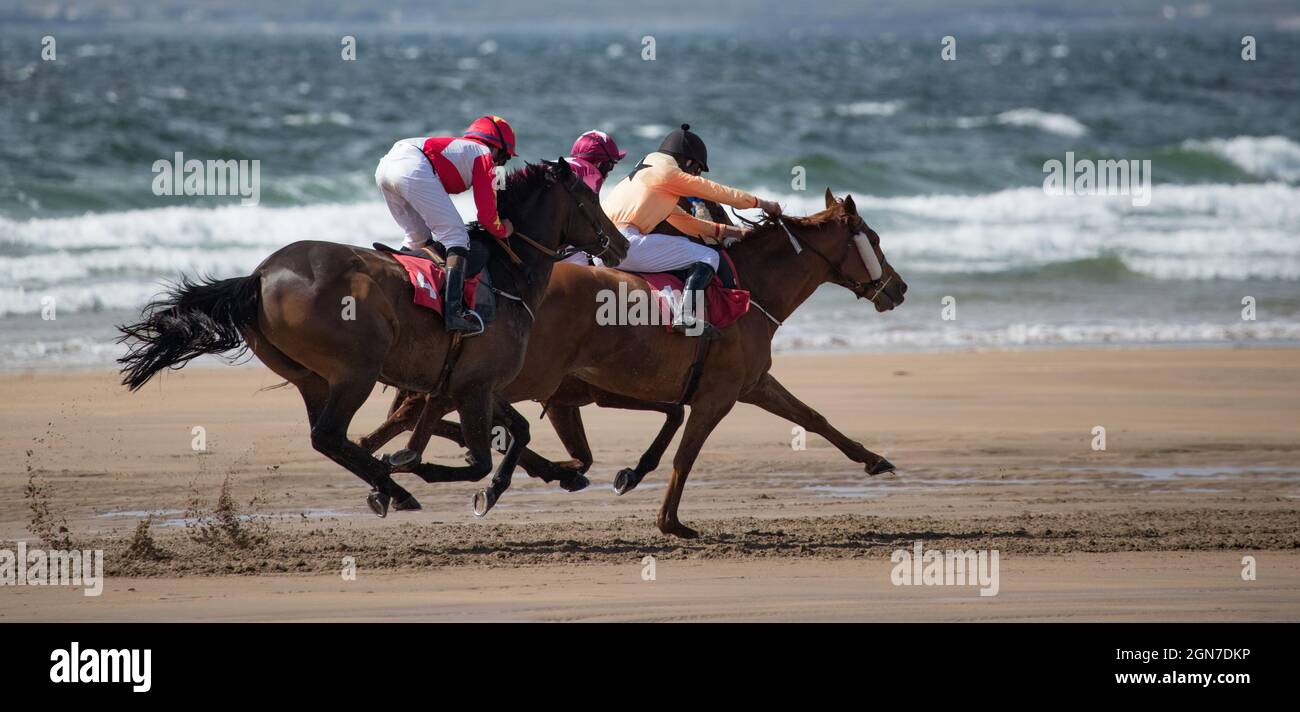 Competing race horses and jockeys sprinting for position Stock Photo
