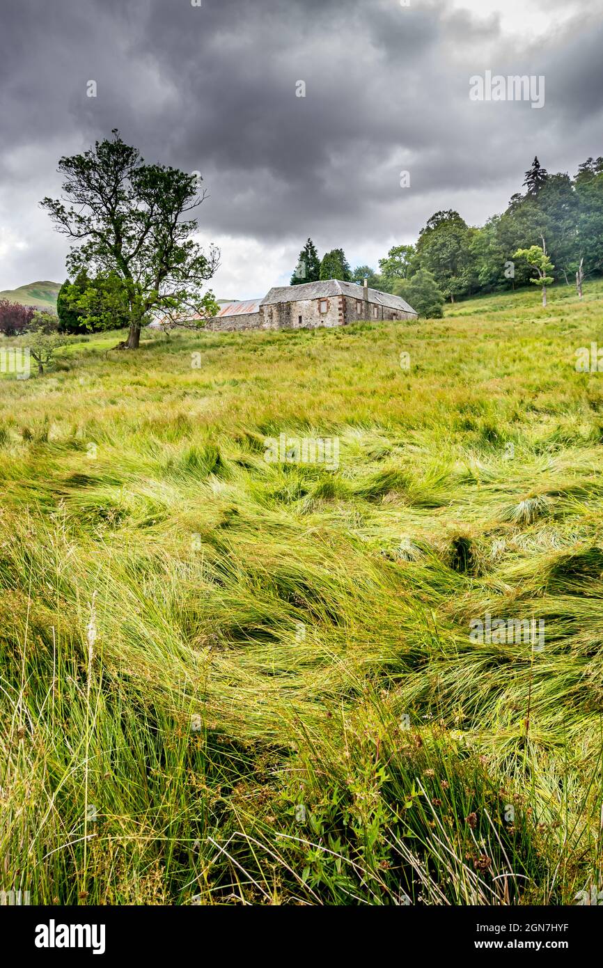 Along the West Highland Way in Scotland.. Dumgoyach Farm stands behind a green meadow under a cloudy sky Stock Photo
