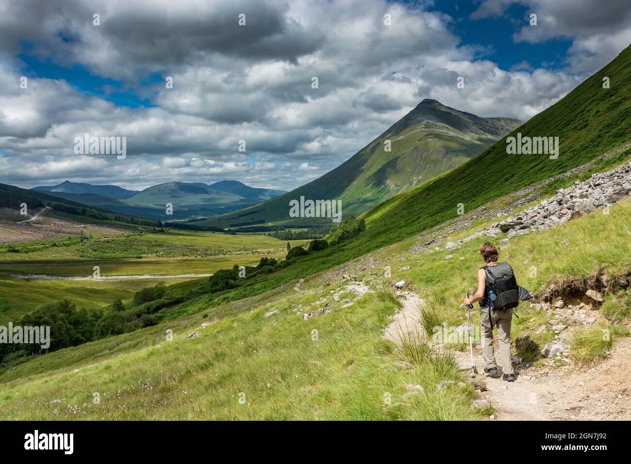 Along The West Highland Way In Scotland A Hiker Walks On The Hiking along-the-west-highland-way-in-scotland-a-hiker-walks-on-the-hiking