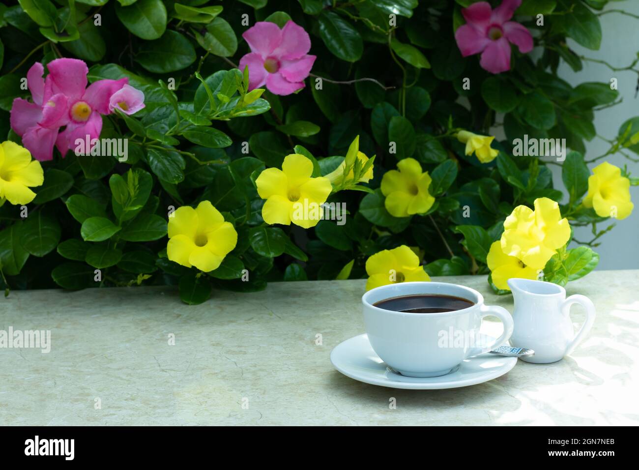 Beautiful coffee mug on the marble table. The background is a beautiful bush of yellow flowers and fresh green leaves. Stock Photo