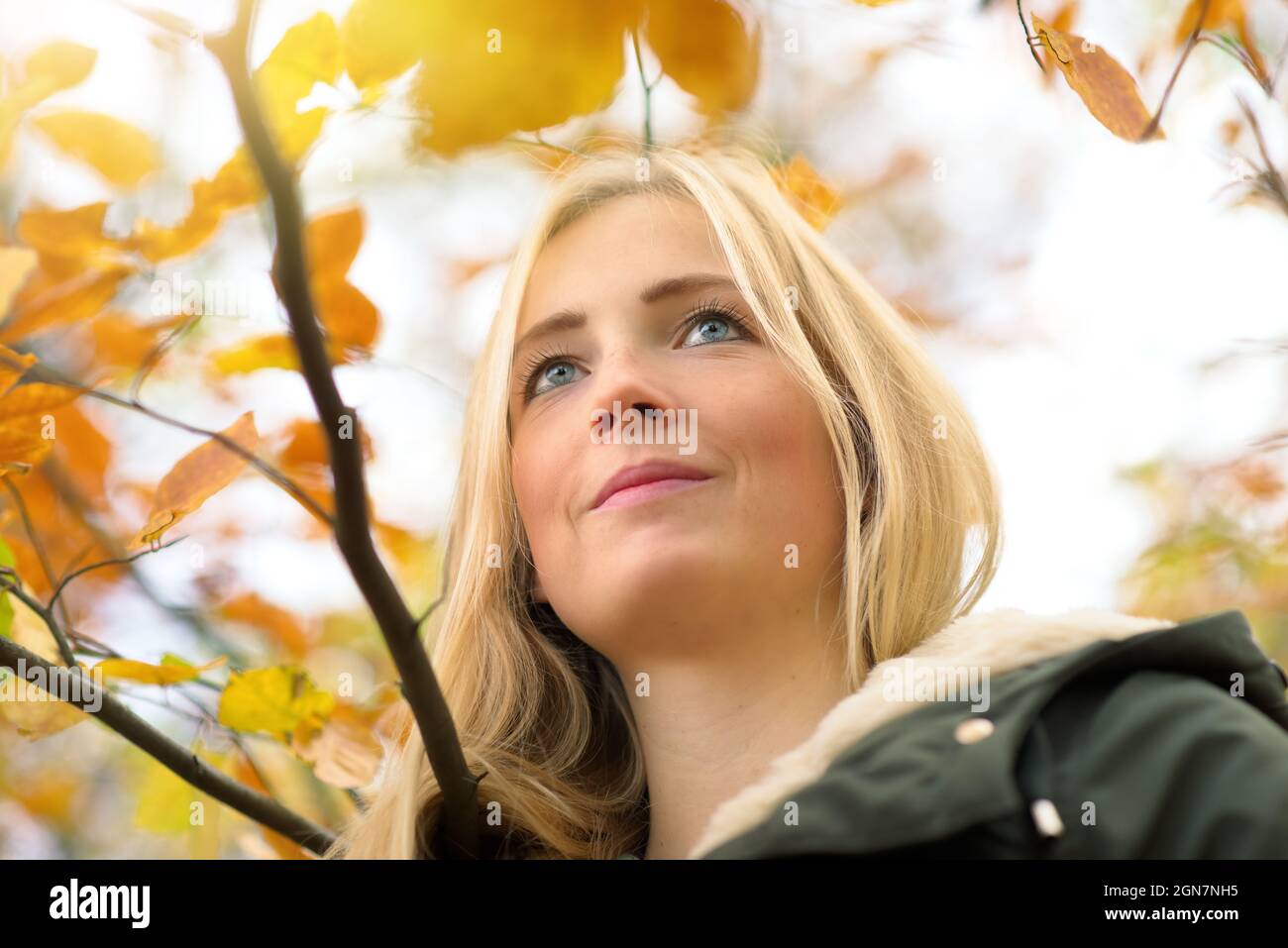 Beautiful young woman enjoying nature, smiling and looking up, framed by gold autumn leaves Stock Photo