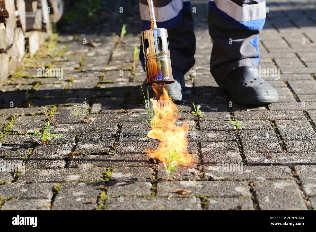 Man destroying weeds with the weed burner Stock Photo