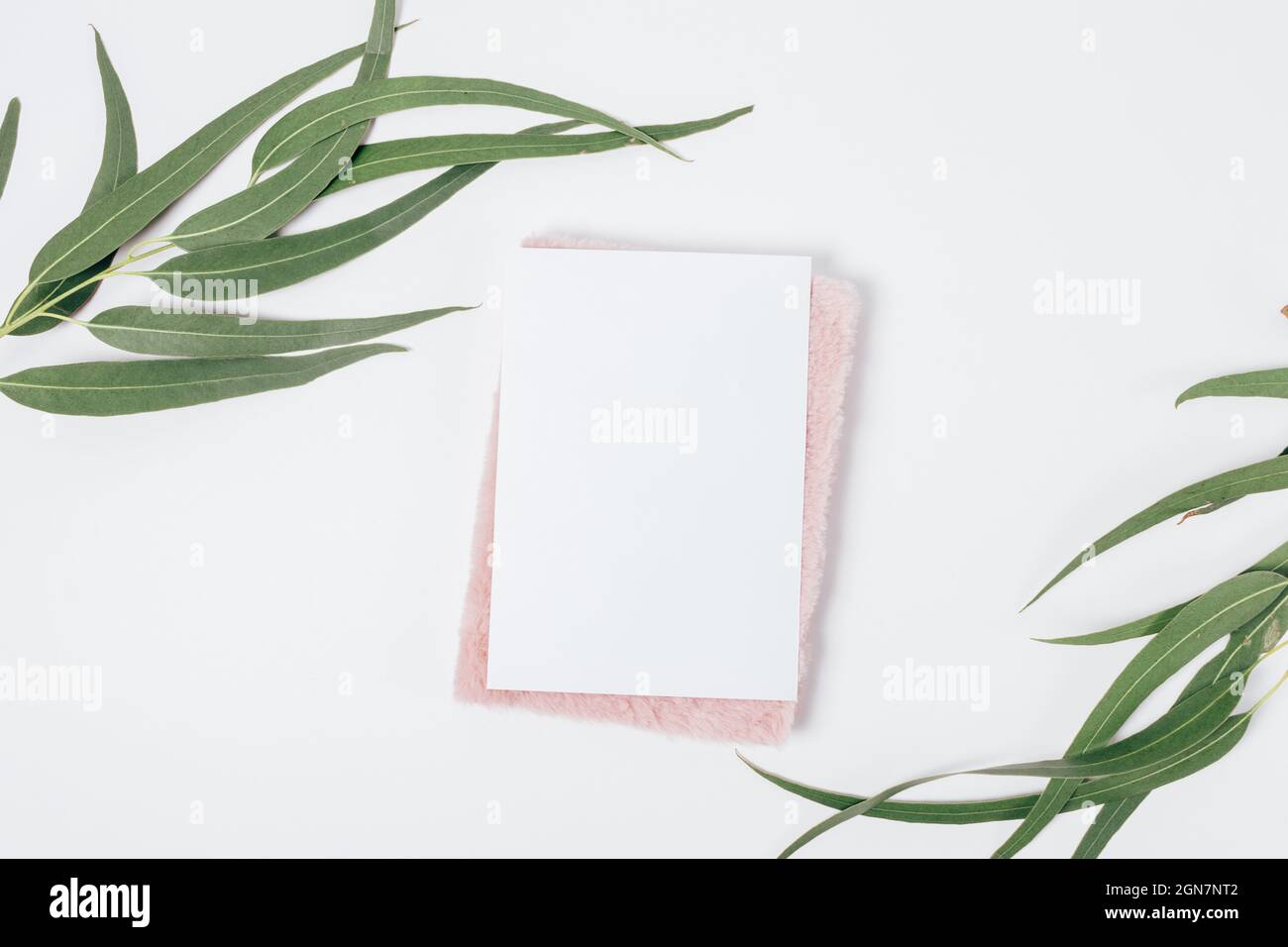 Blank white sheet with fluffy pink notebook next to green eucalyptus branches on table, top view Stock Photo