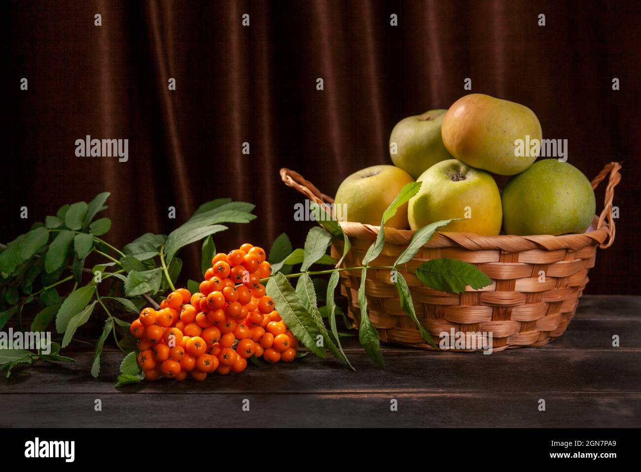 Rowan branch with berries and green apples in a wicker basket on dark wooden background with copy space Stock Photo