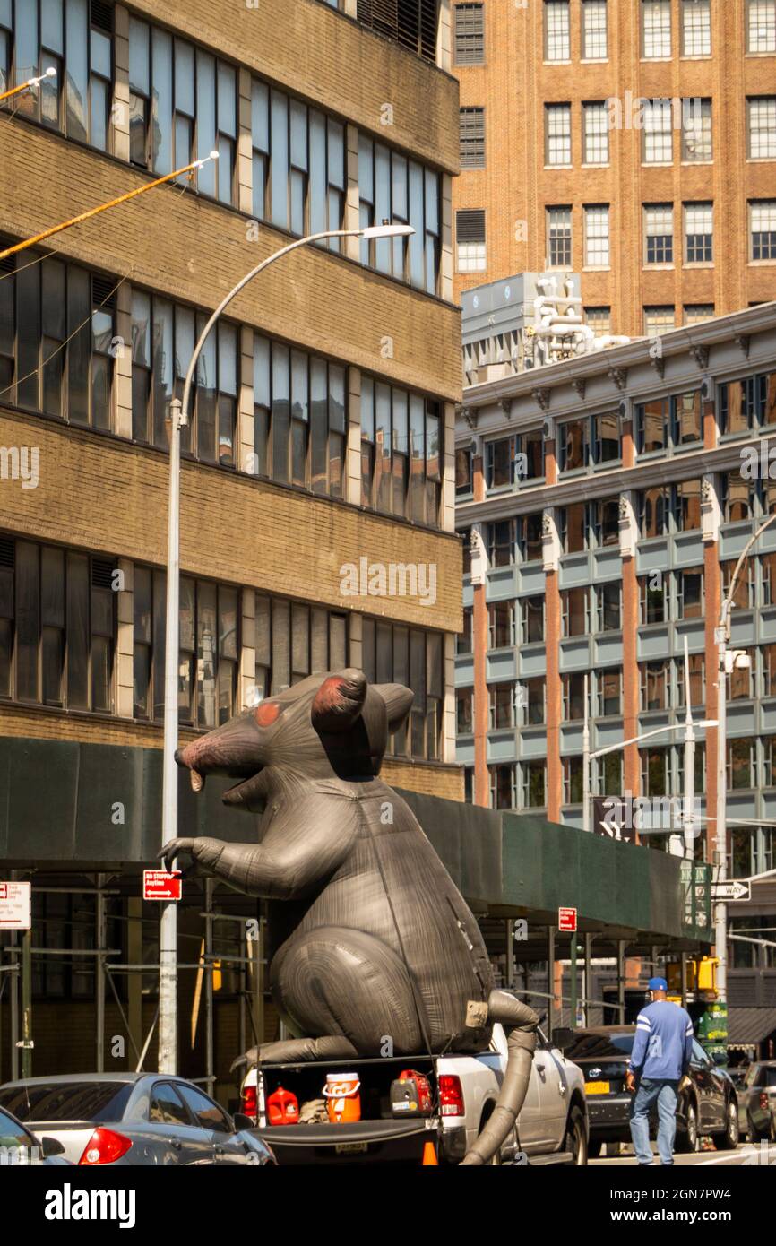 scabby the protest rat on Manhattan street NYC Stock Photo