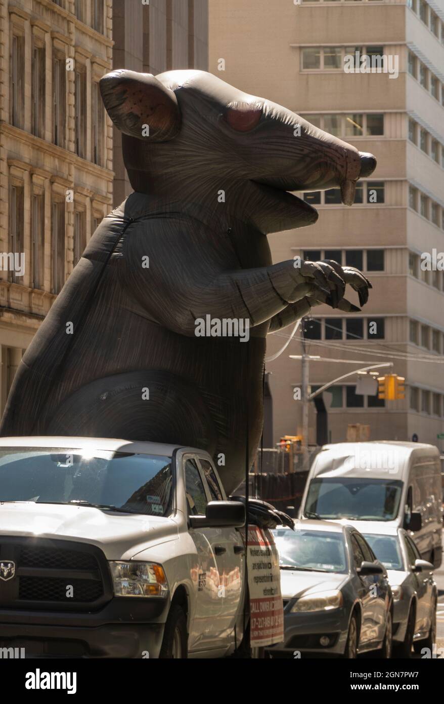 scabby the protest rat on Manhattan street NYC Stock Photo