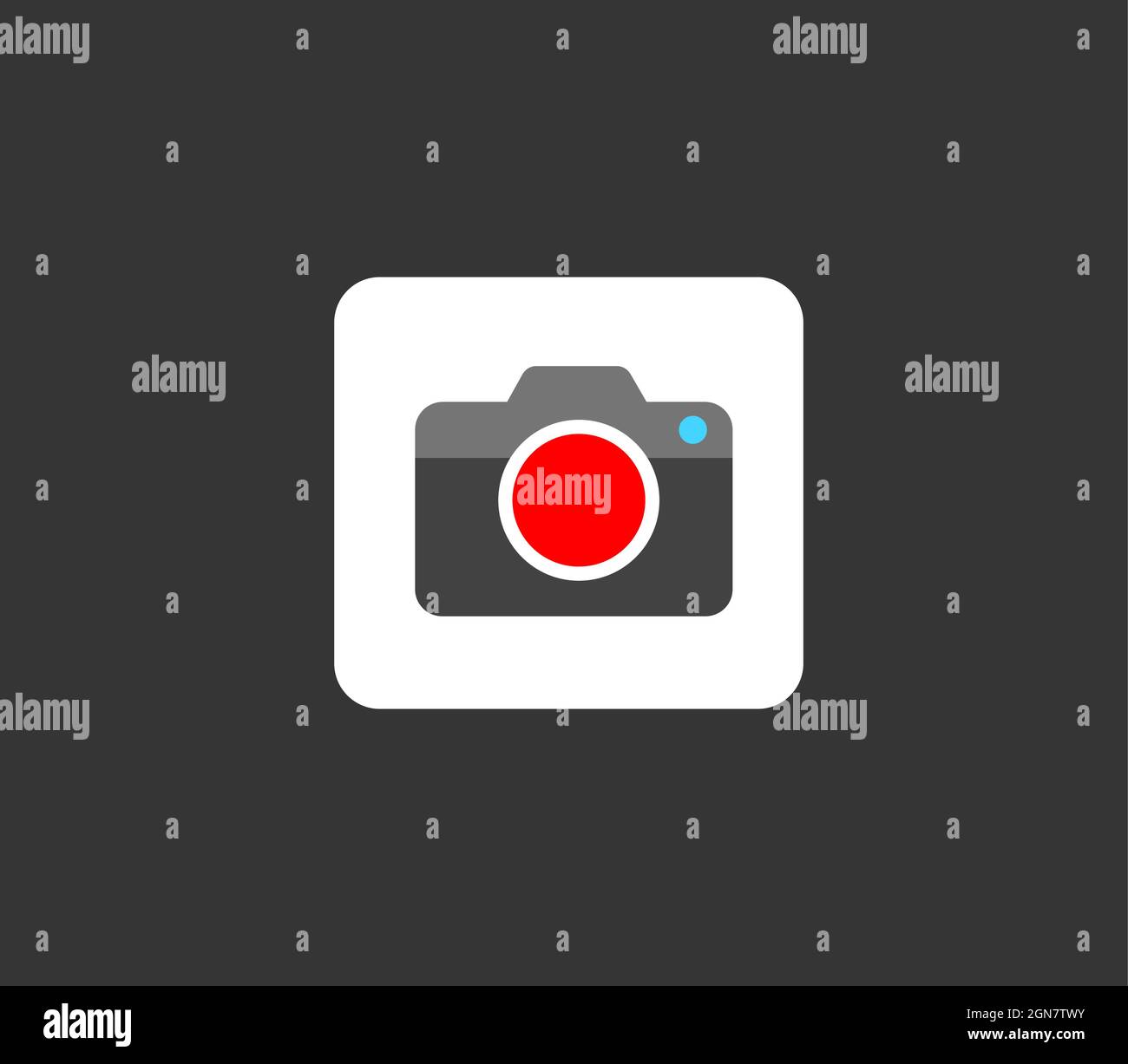 camera button isolated on grey background, DSLR icon Stock Vector