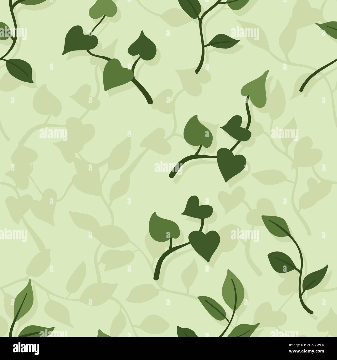 Houseplant branches - vector background Stock Vector Image & Art - Alamy