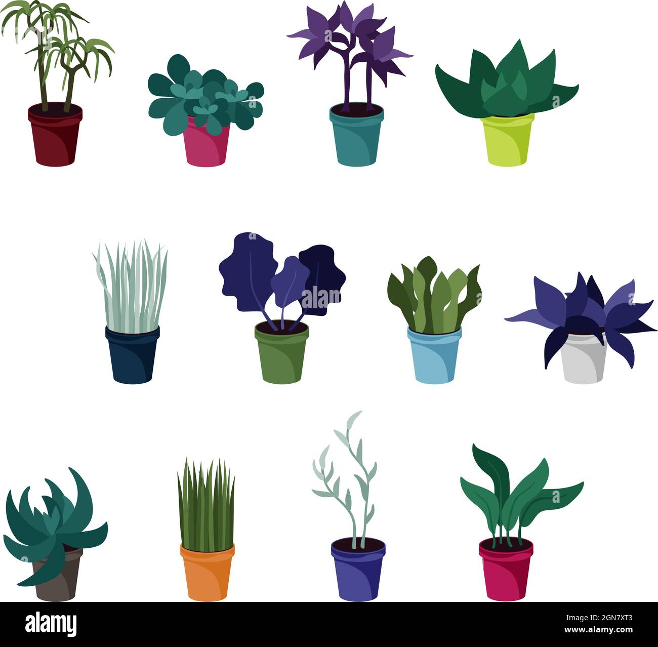 Set of houseplants - vector illustration Stock Vector Image & Art - Alamy