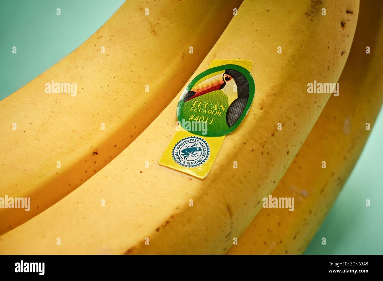 Rainforest alliance certified banana hires stock photography and