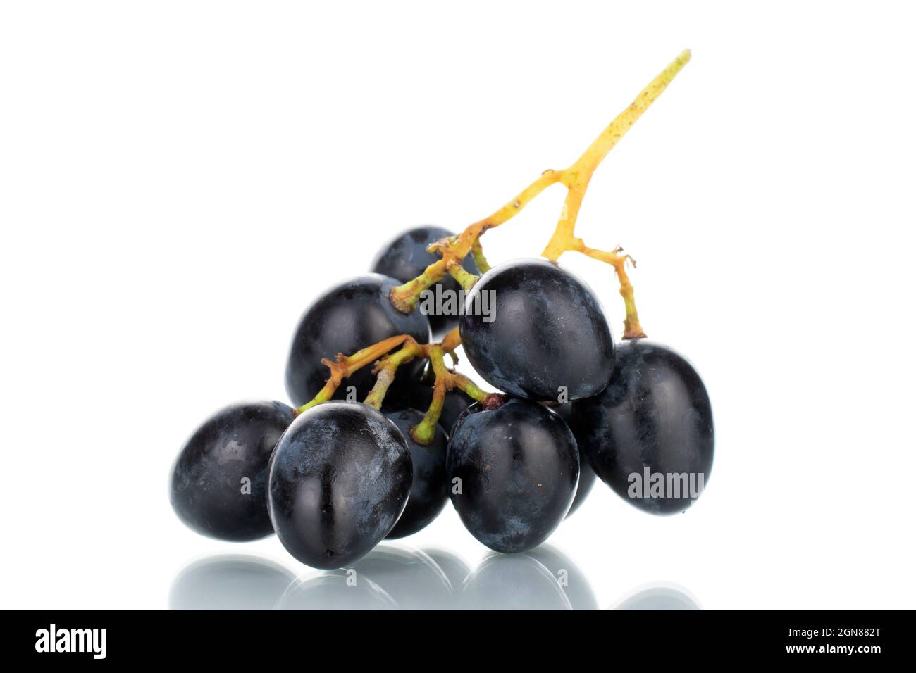 One bunch of sweet black grapes, close-up, isolated on white. Stock Photo