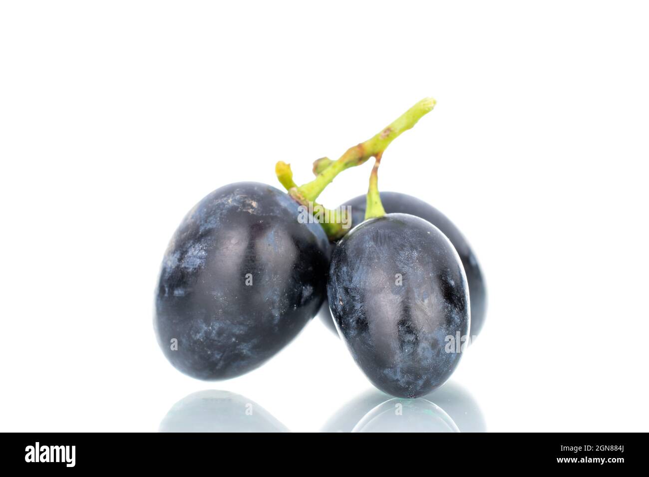 Three berries of ripe black grapes, close-up, isolated on white. Stock Photo