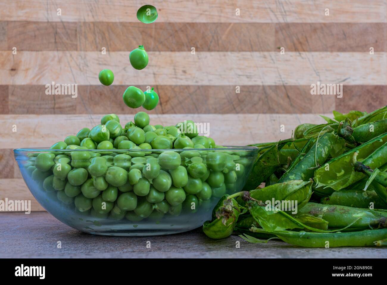 Freshly shelled garden peas striaght from the pea pods falling into a glass bowl  with the disgarded husks Stock Photo