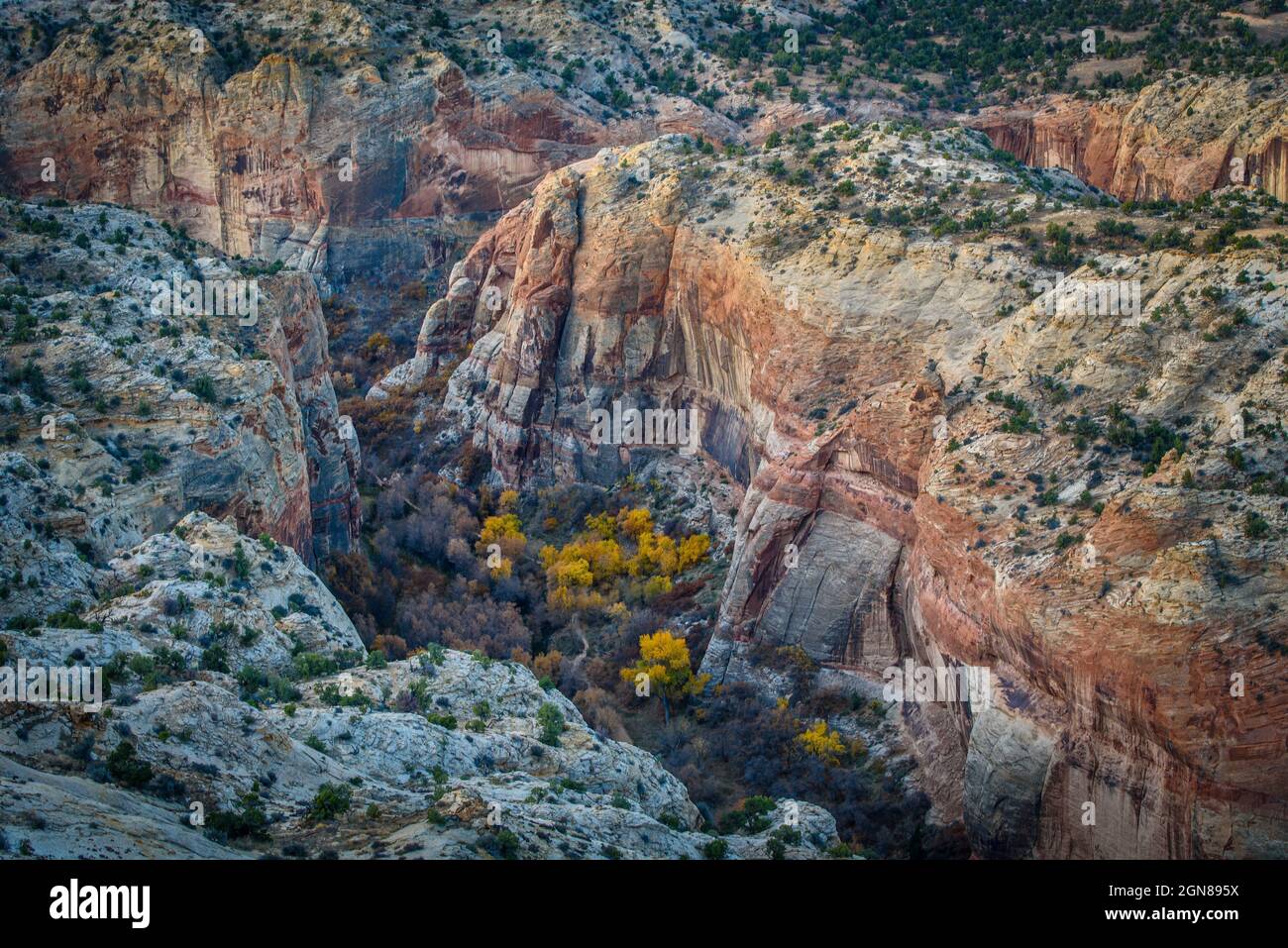 A canyon in Grand Staircase - Escalante National Monument, Utah. Stock Photo
