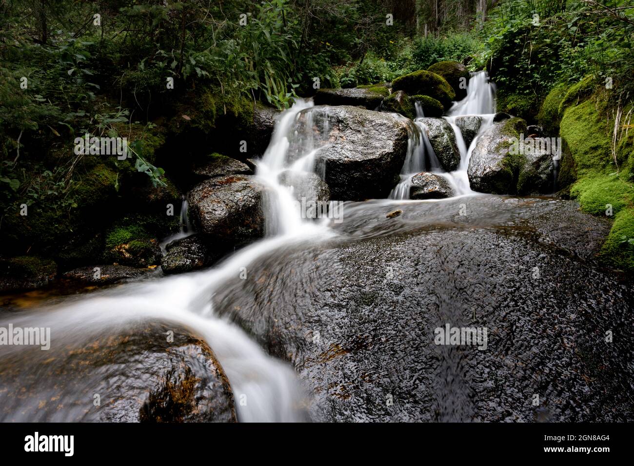 A stream cascades its way through rocks and moss. This water will become part of the Colorado River. Stock Photo