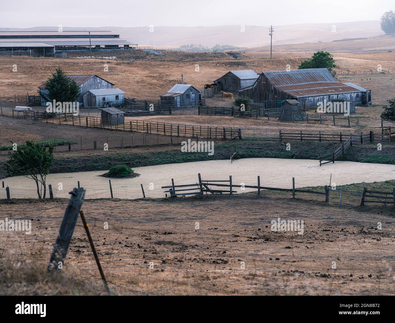 A country-western farm with horses and barn, quintessentially stunning. Stock Photo
