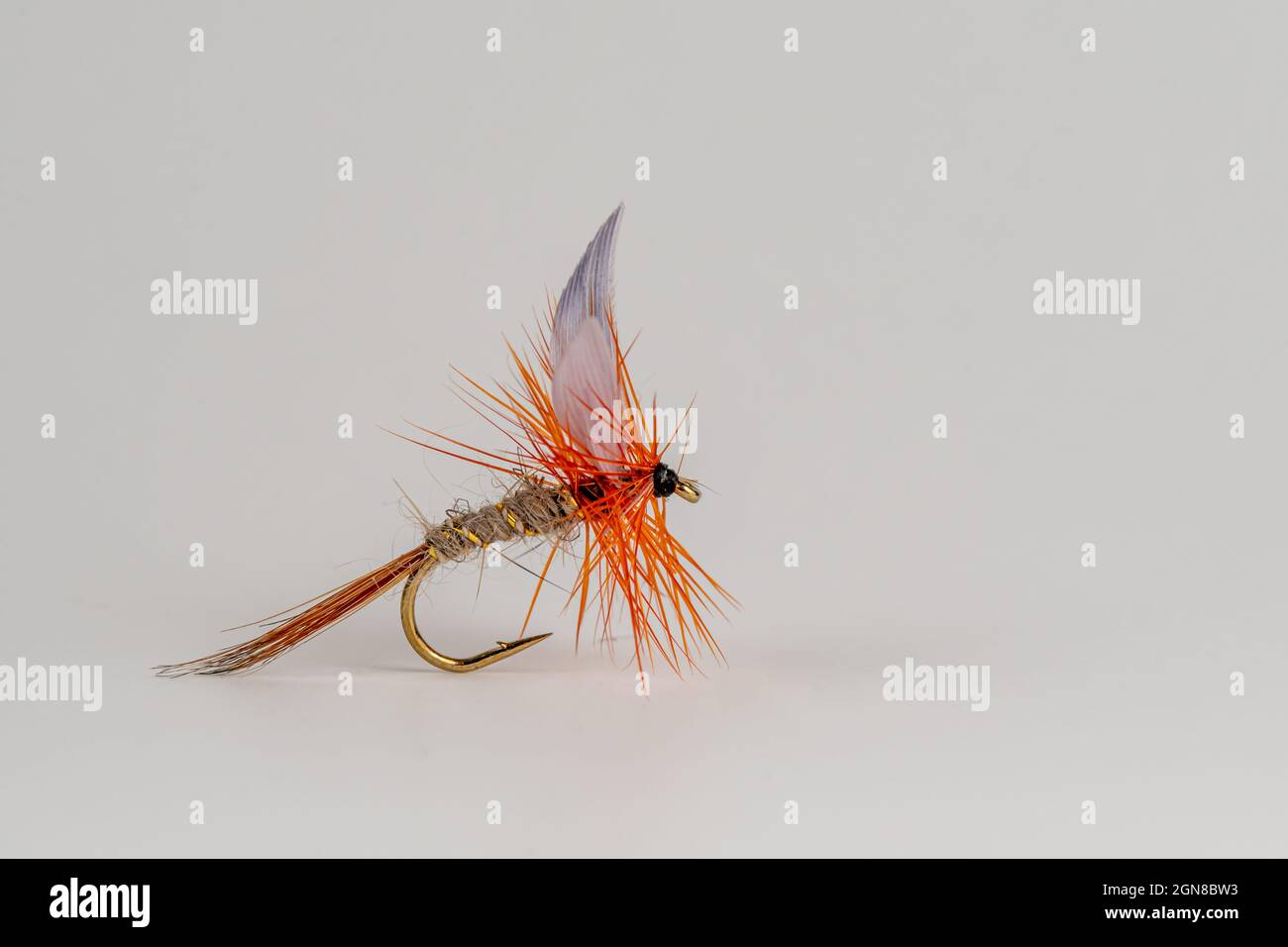 Traditional Upstream Dry Trout fly fishing Fly Pattern Gold Ribbed Hares Ear Stock Photo