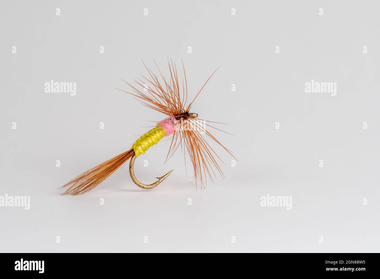 Traditional Upstream Dry Trout fly fishing Fly Pattern Tups Indespensible Stock Photo