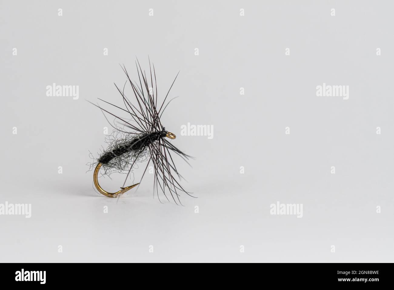 Traditional Upstream Dry Trout fly fishing Fly Pattern Black spider Stock Photo