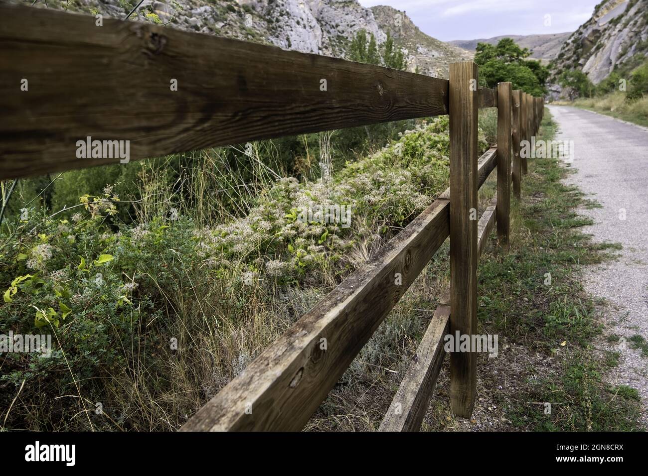 of a walk for people on a route nature, sports health Stock Photo Alamy