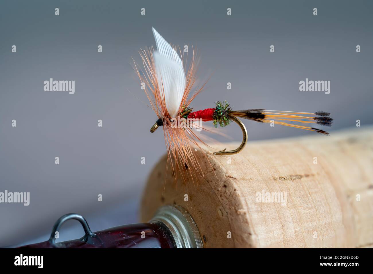 Dry Fly Box Case stock image. Image of tying, fishing - 114072395