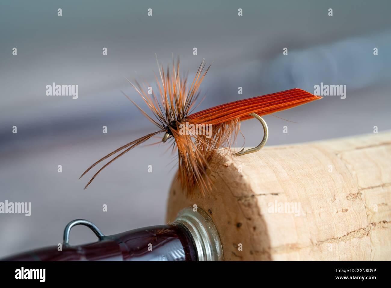 Close up of a Caddis dry fly fishing fly hooked into the handle of a fly rod with hook eye and rod blank Stock Photo