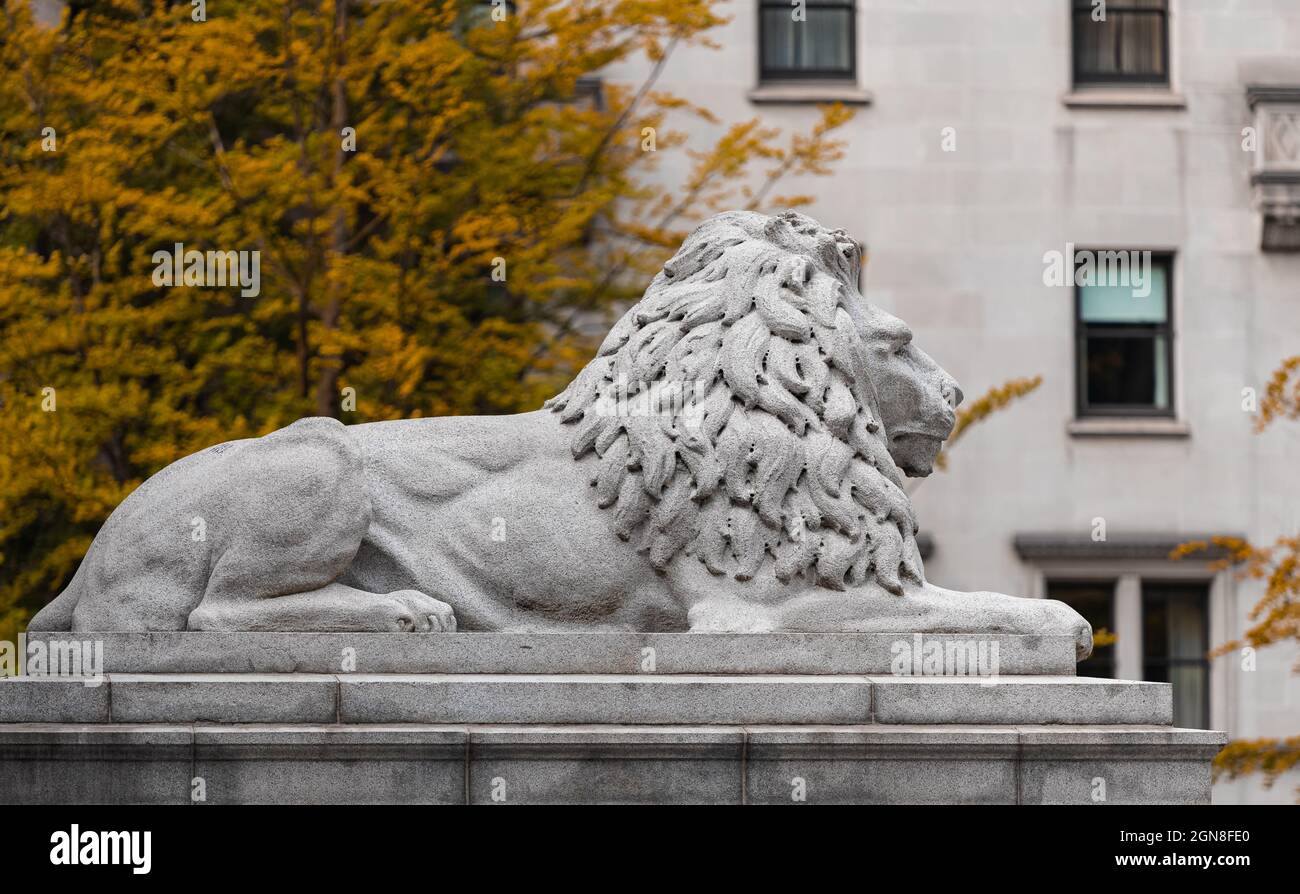 Lion statue sculpture in downtown of Vancouver BC Art Gallery Stock