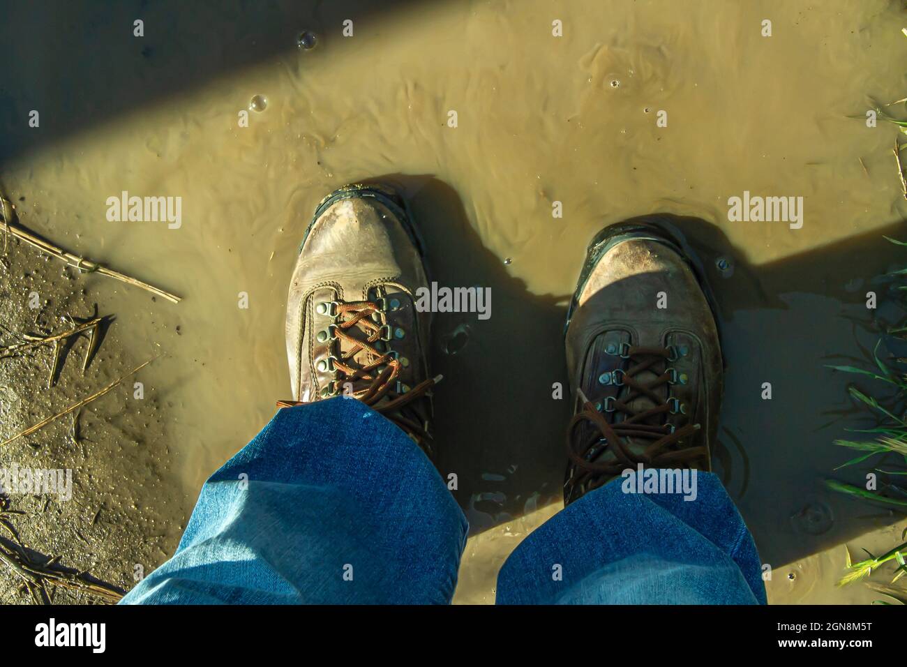 Hiking boots on trail in muddy water Royalty free stock photo Stock Photo