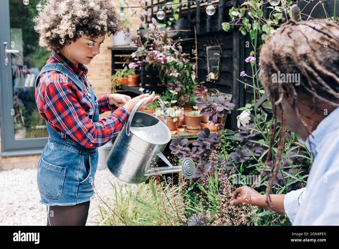 Hispanic male gardening hi-res stock photography and images - Alamy