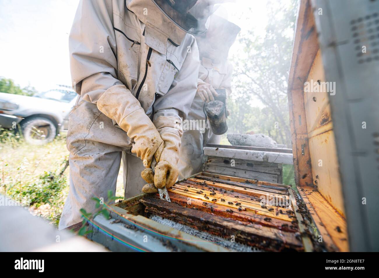 Female beekeeper with beehive walking in farm Stock Photo
