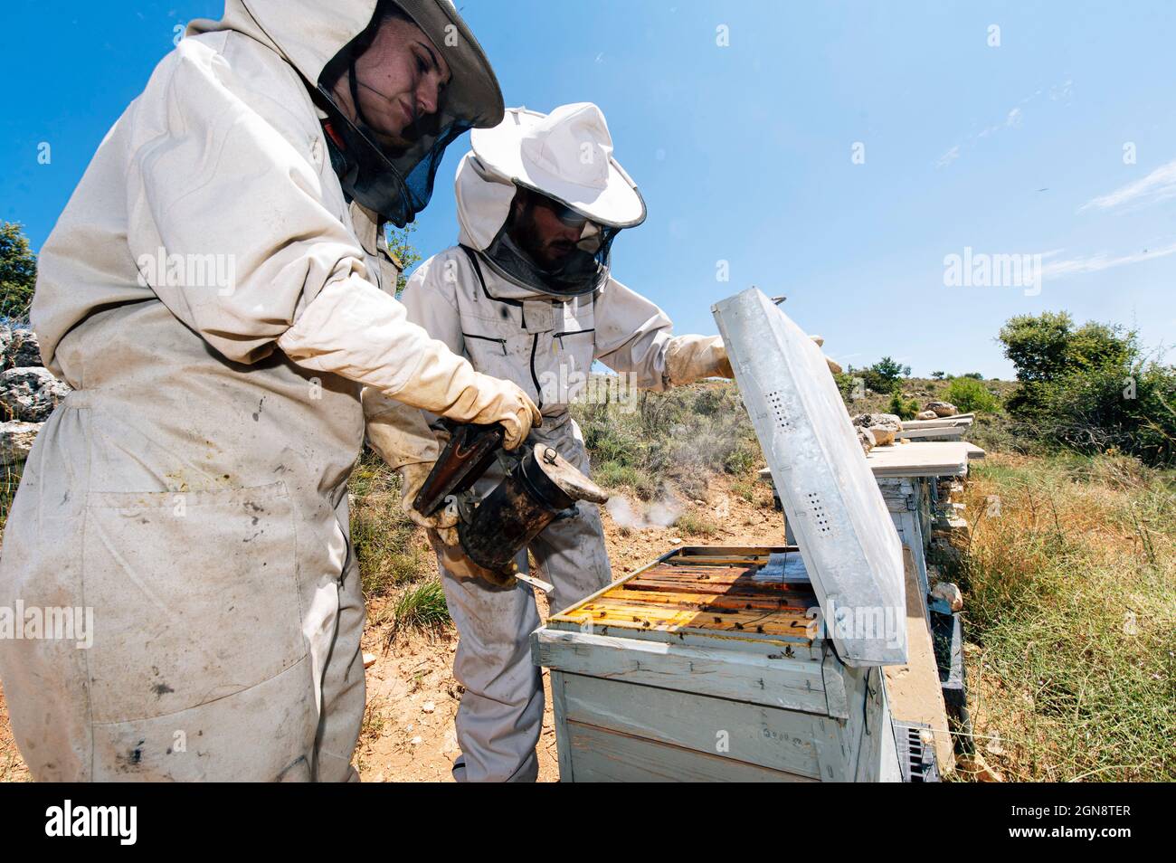 Female beekeeper burning bee smoker at car trunk Stock Photo