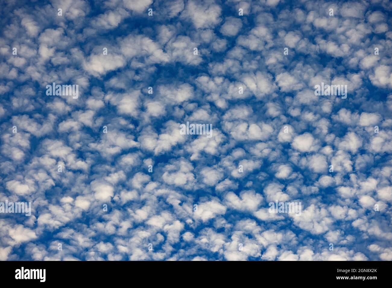 Cloudscape of altocumulus clouds Stock Photo
