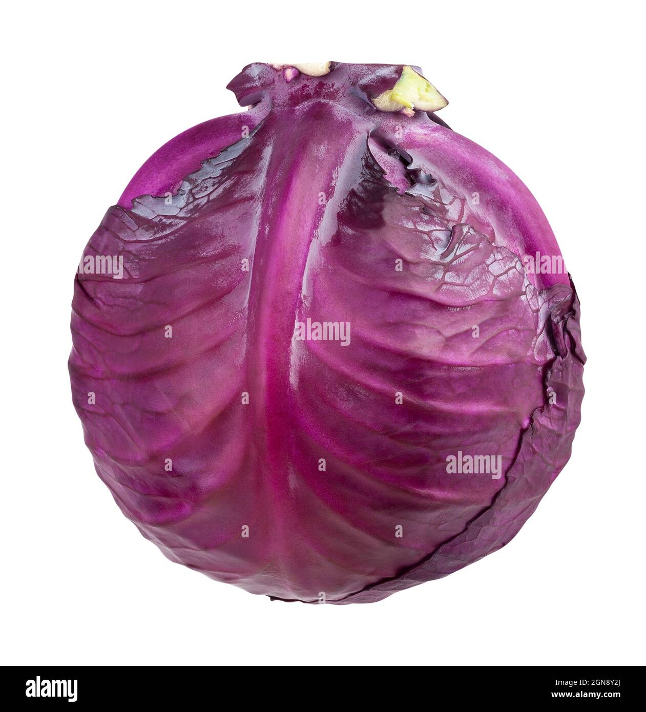 red cabbage path isolated on white Stock Photo