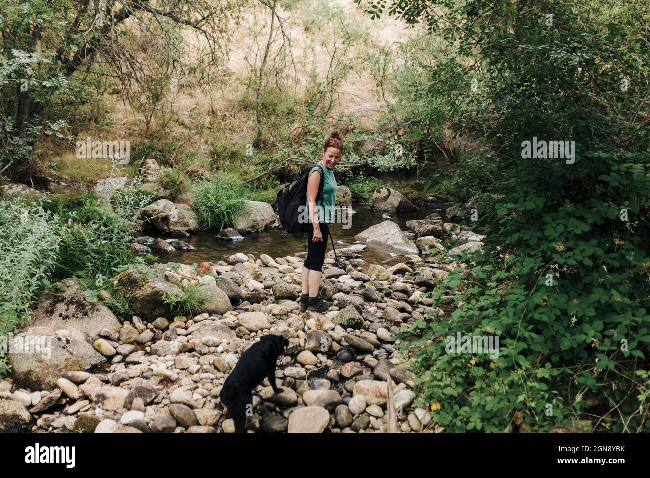 Mid adult woman and dog walking together in forest Stock Photo