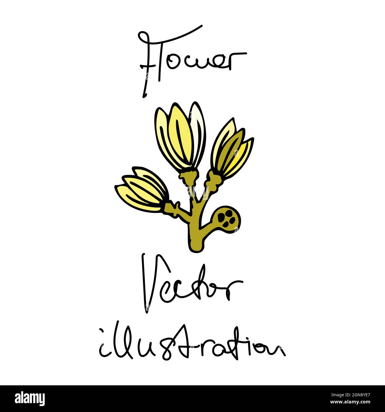 Vector illustration of a fantasy colorful flower and lettering Stock ...