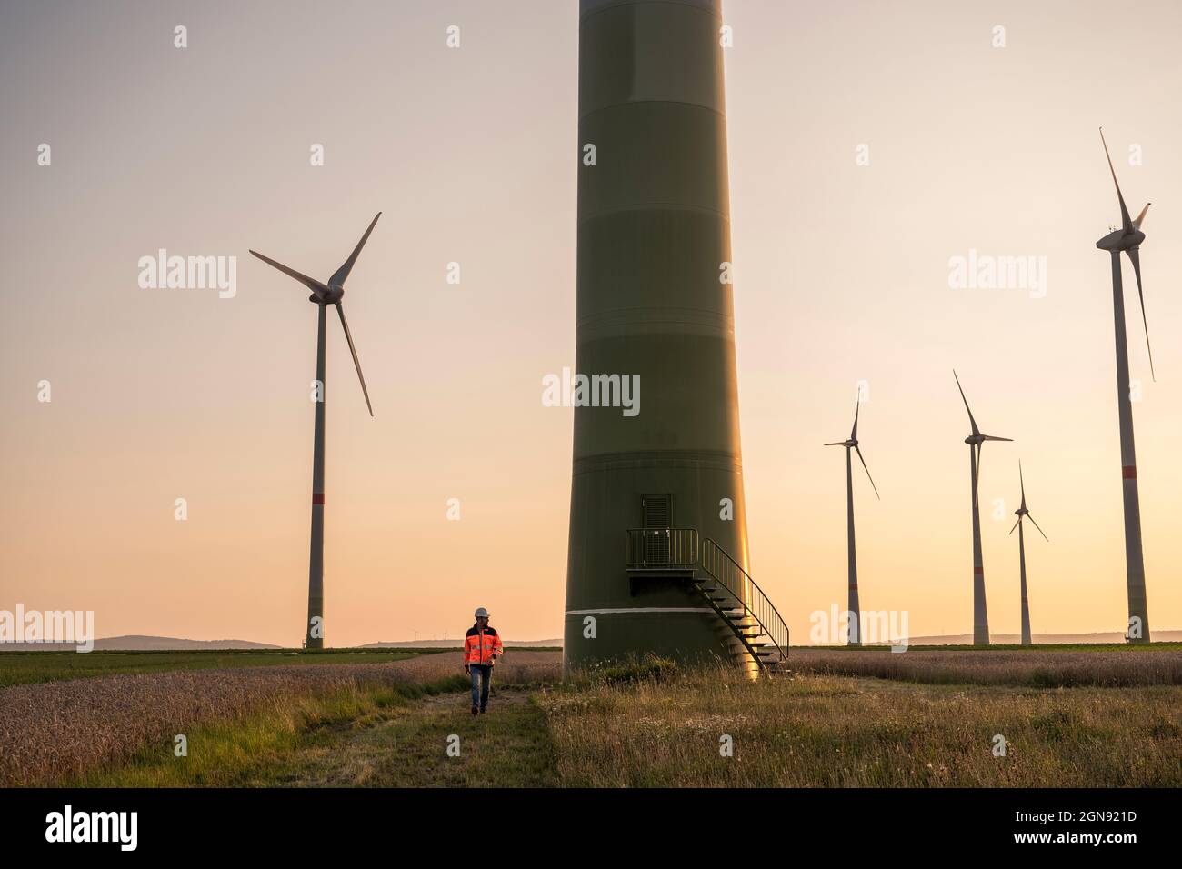 Male engineer walking on meadow in front of wind turbines Stock Photo
