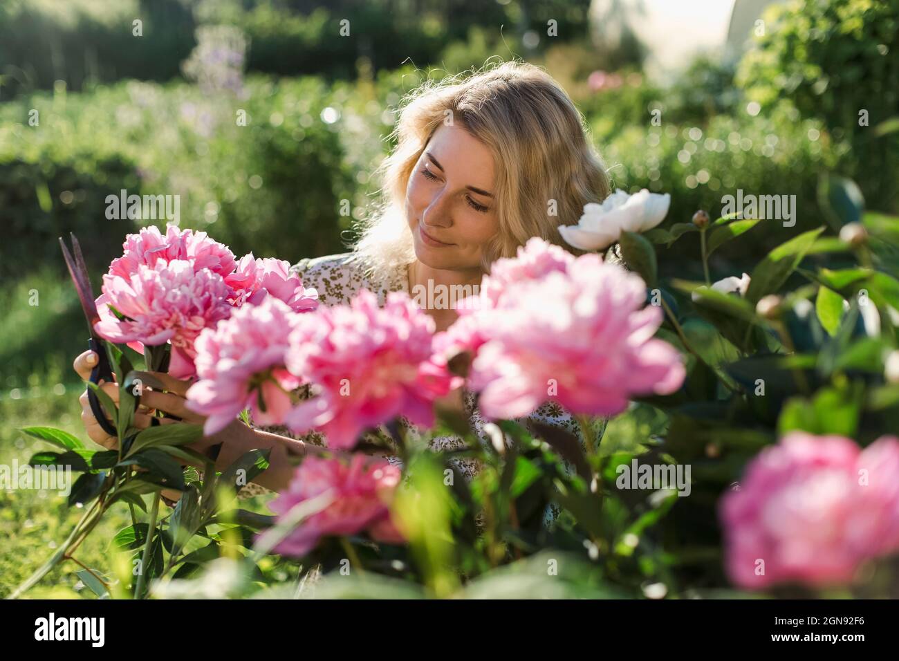 Woman cutting flowers at garden Stock Photo
